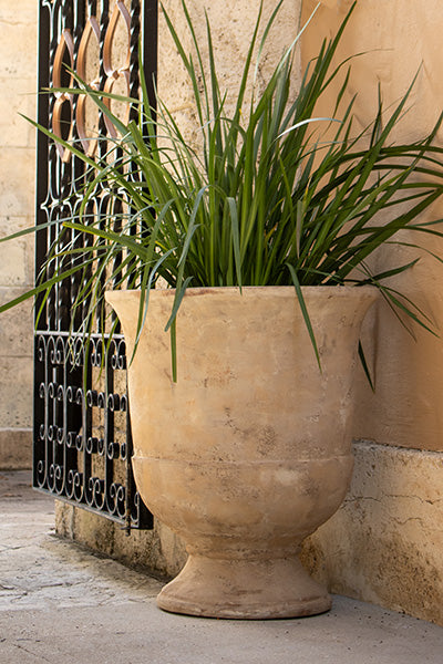 Alternate view of Short Anterra Cup Planter