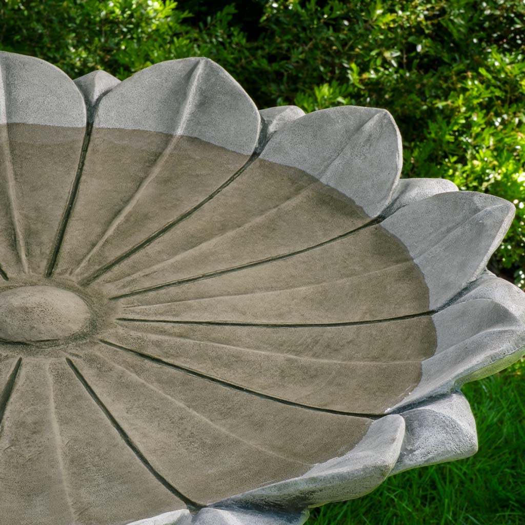 Marguerite Birdbath additional view