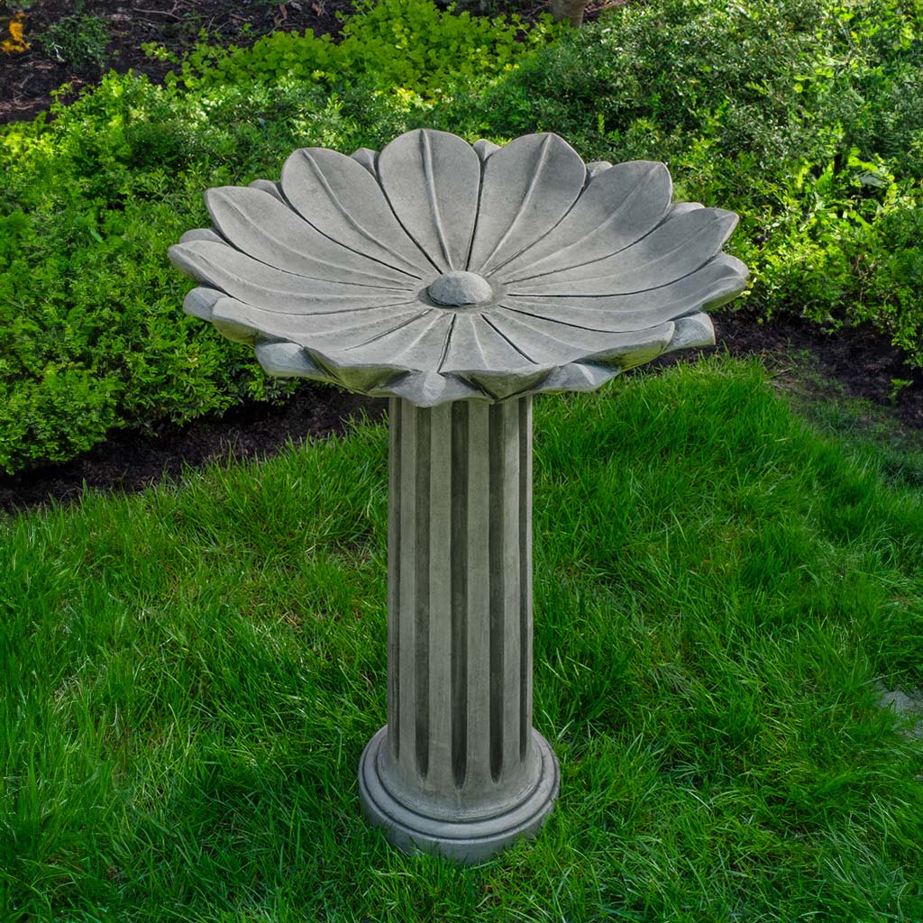 Marguerite Birdbath in Alpine Stone finish