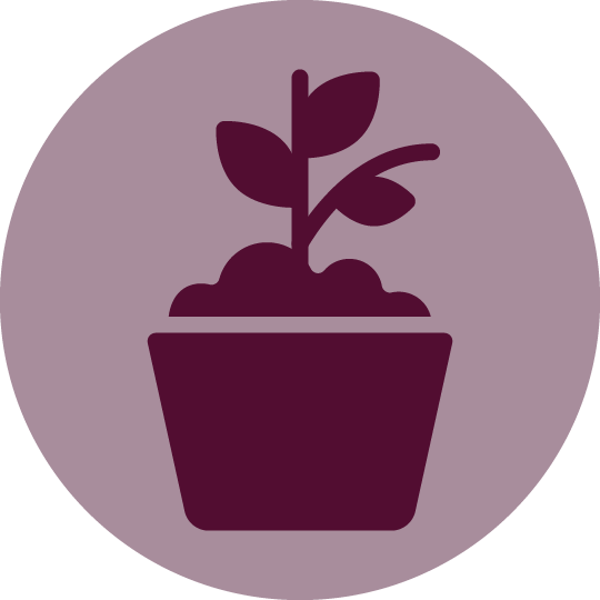 Decorative Planters