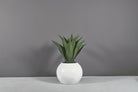 Globe Planter