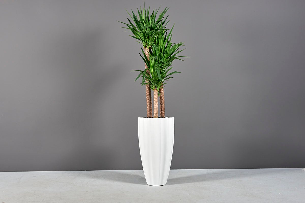 San Jose Tall Fluted Round Planter