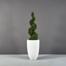 Brannan Tapered Round Planter