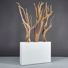 Amesbury Narrow Rectangular Planter