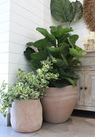 Alternate view of Mterra Round Waved Rim Planter set of 4