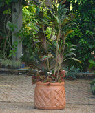 Medium Basket Cylinder Planter handcrafted garden piece.