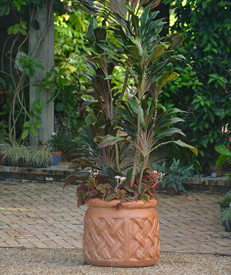 Medium Basket Cylinder Planter handcrafted garden piece.