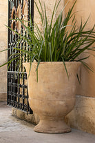 Alternate view of Short Anterra Cup Planter