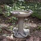 Catnap Birdbath in Alpine Stone finish
