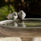Juliet Birdbath additional view